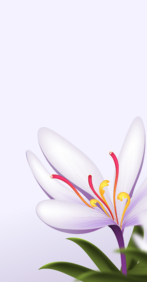 Farmers Saffron 04