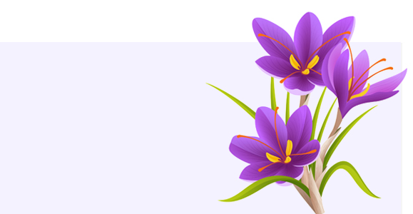 Farmers Saffron 05