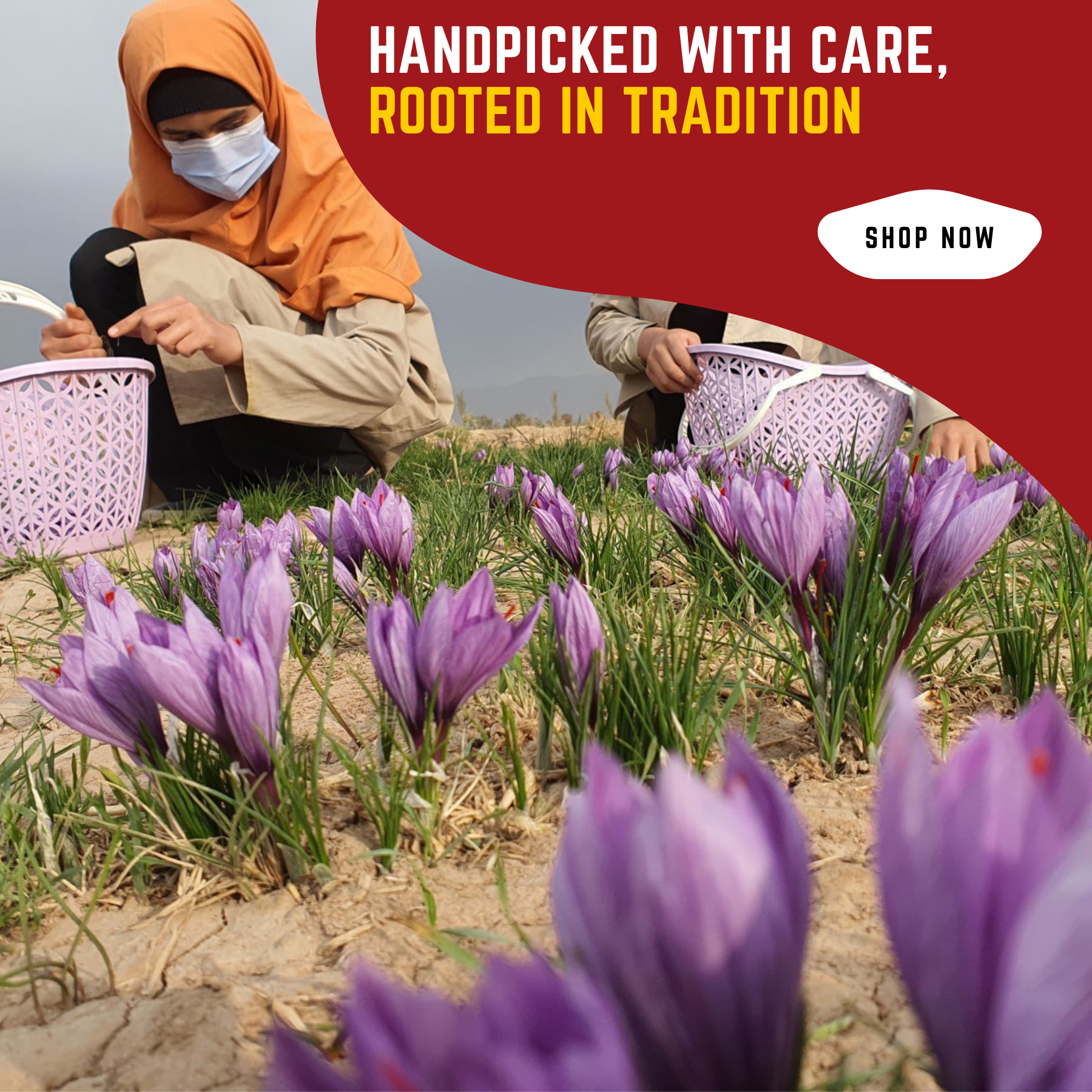 Saffron image slider
